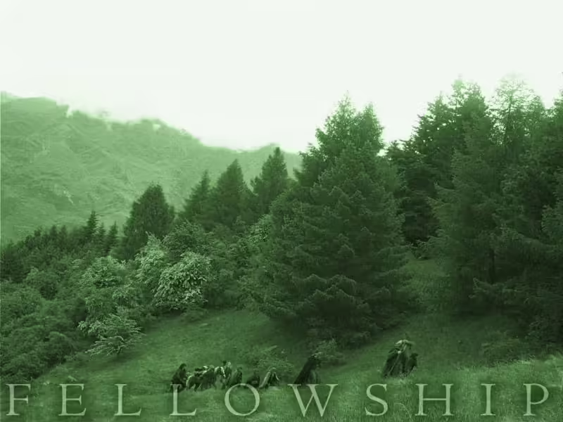 poster-31