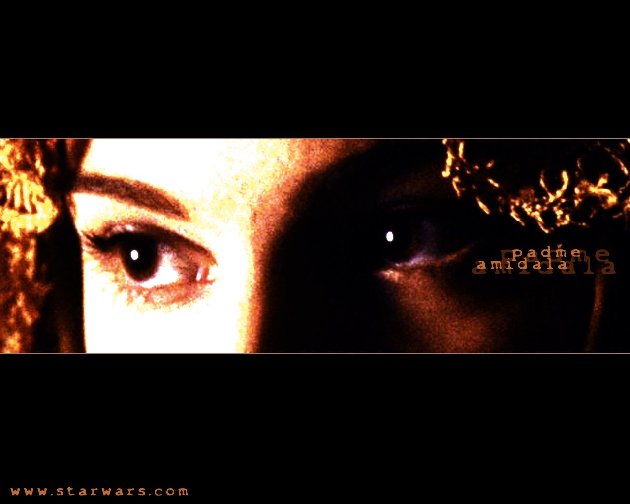poster-24