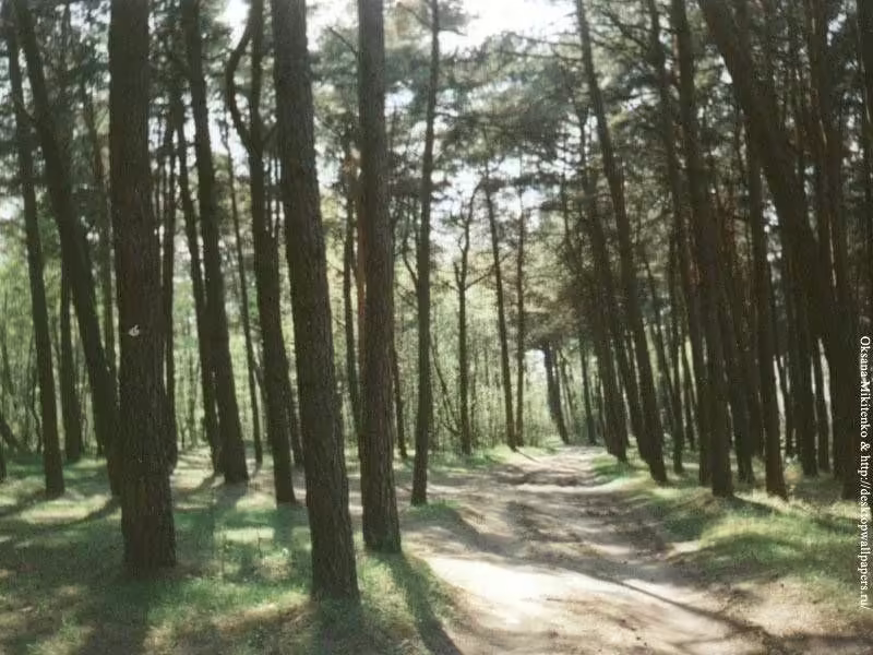 foto-48