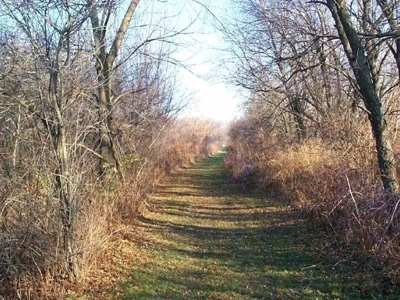 foto-50
