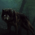 волк аватарка 1