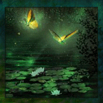 Фейри летают над водоемом с кувшинками ночью; аватарка анимированная 150×150px