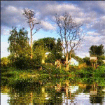 Озеро в лесу в ясный солнечный день; аватарка 150×150px