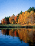 Лесное озеро в окружении осеннего леса; аватарка 113×150px