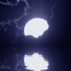Тихая ночь на озере при полной луне; аватарка 100×100px