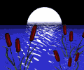 Лунная ночь на озере с камышами; аватарка 120×100px