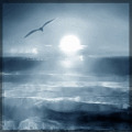 Бурное море, луна и чайка; аватарка 120×120px