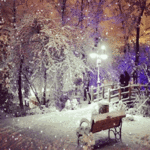 аватарка гиф котенок