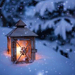 аватарка гиф котенок