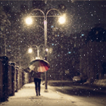 аватарка гиф котенок