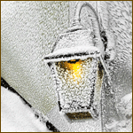 аватарка гиф котенок