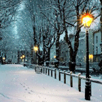 аватарка гиф котенок