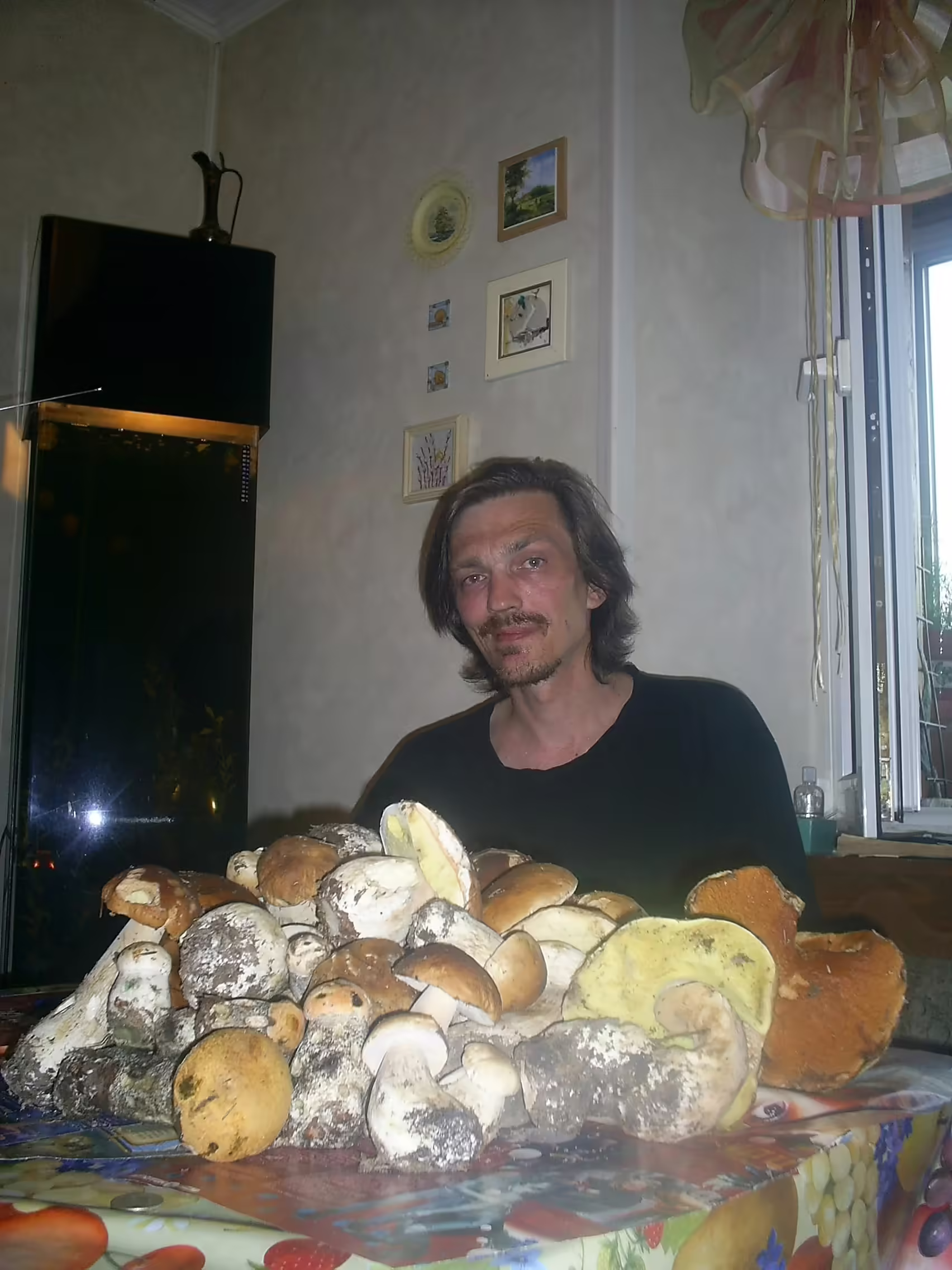 грибы