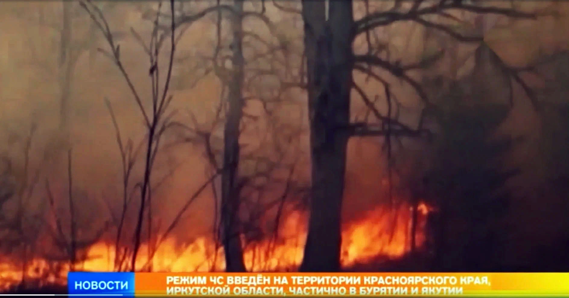 лесные пожары россии