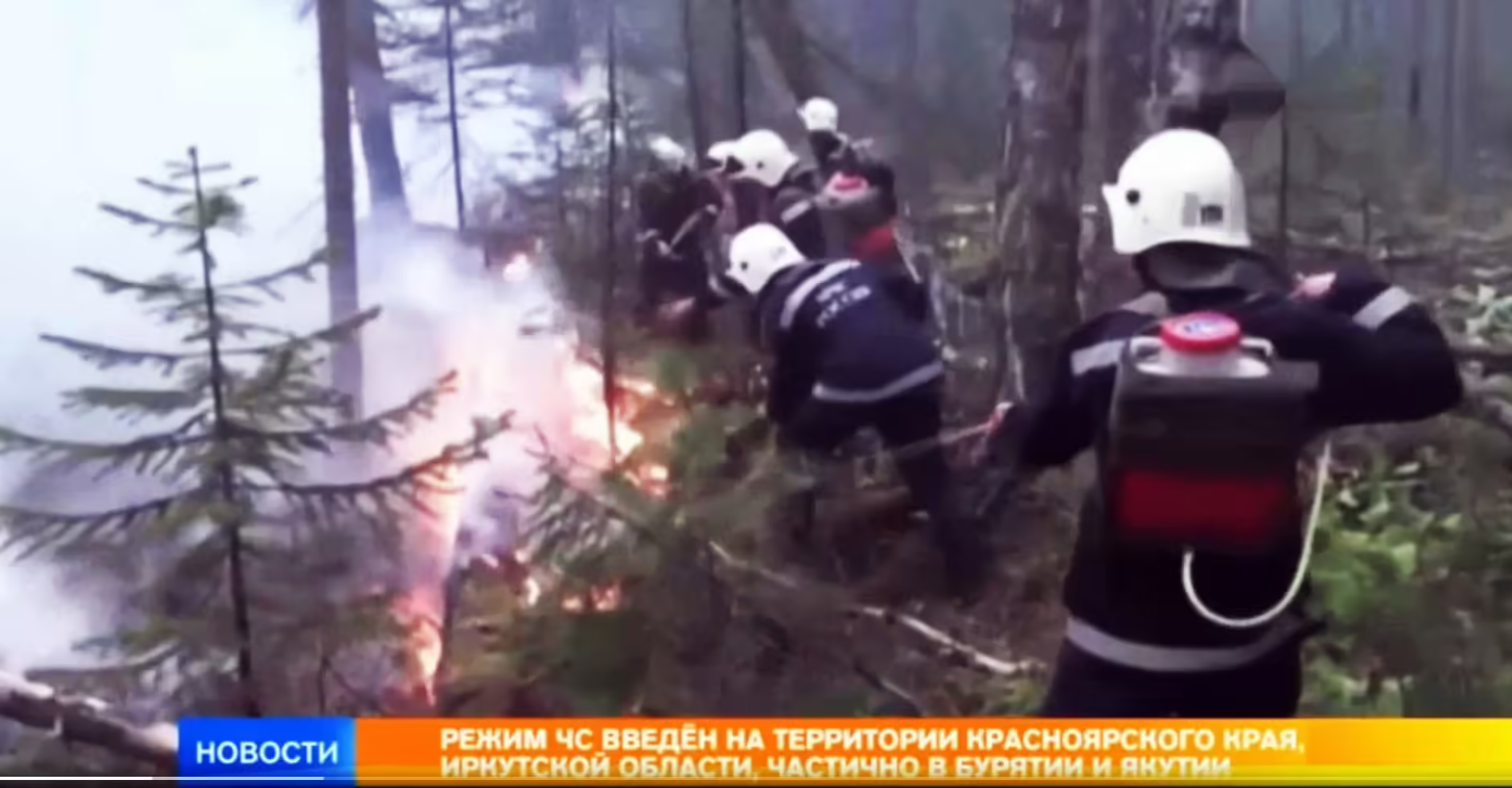 лесные пожары россии