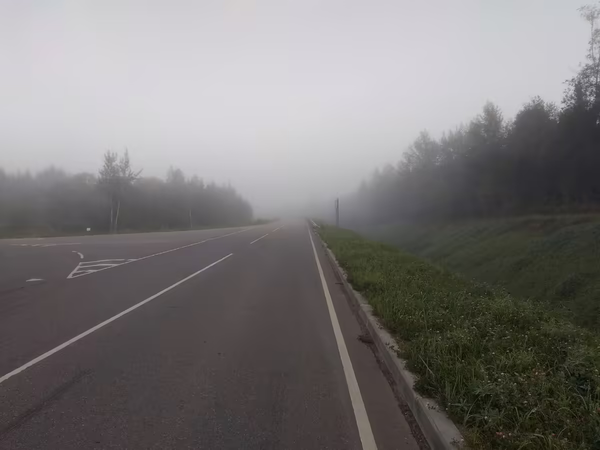 Доживающий