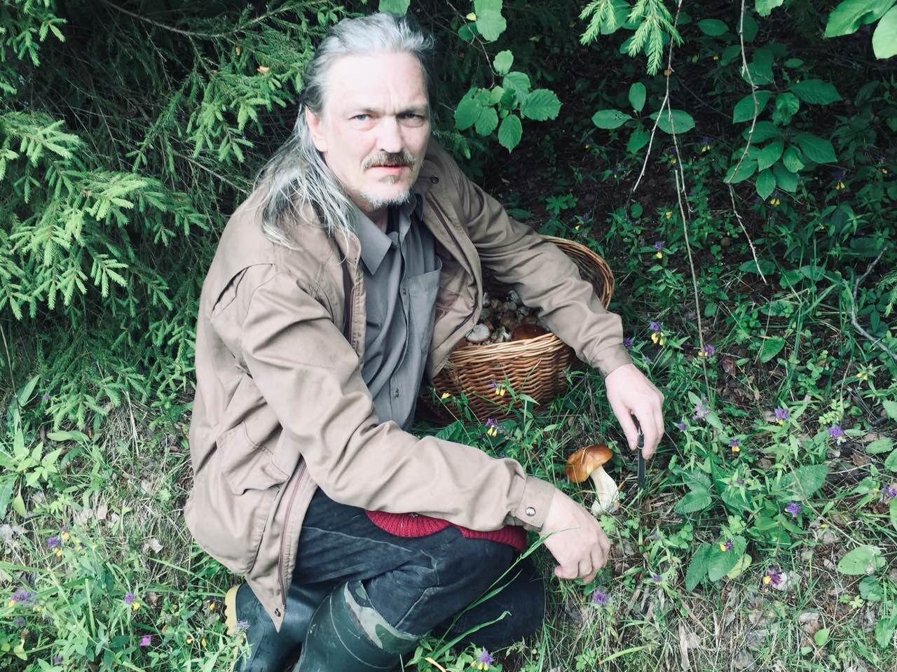 грибы доживания