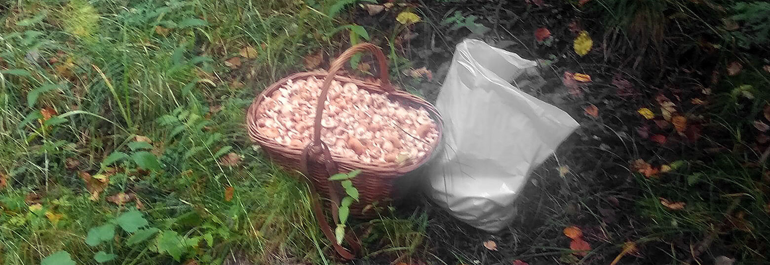 добро пожаловать в ад