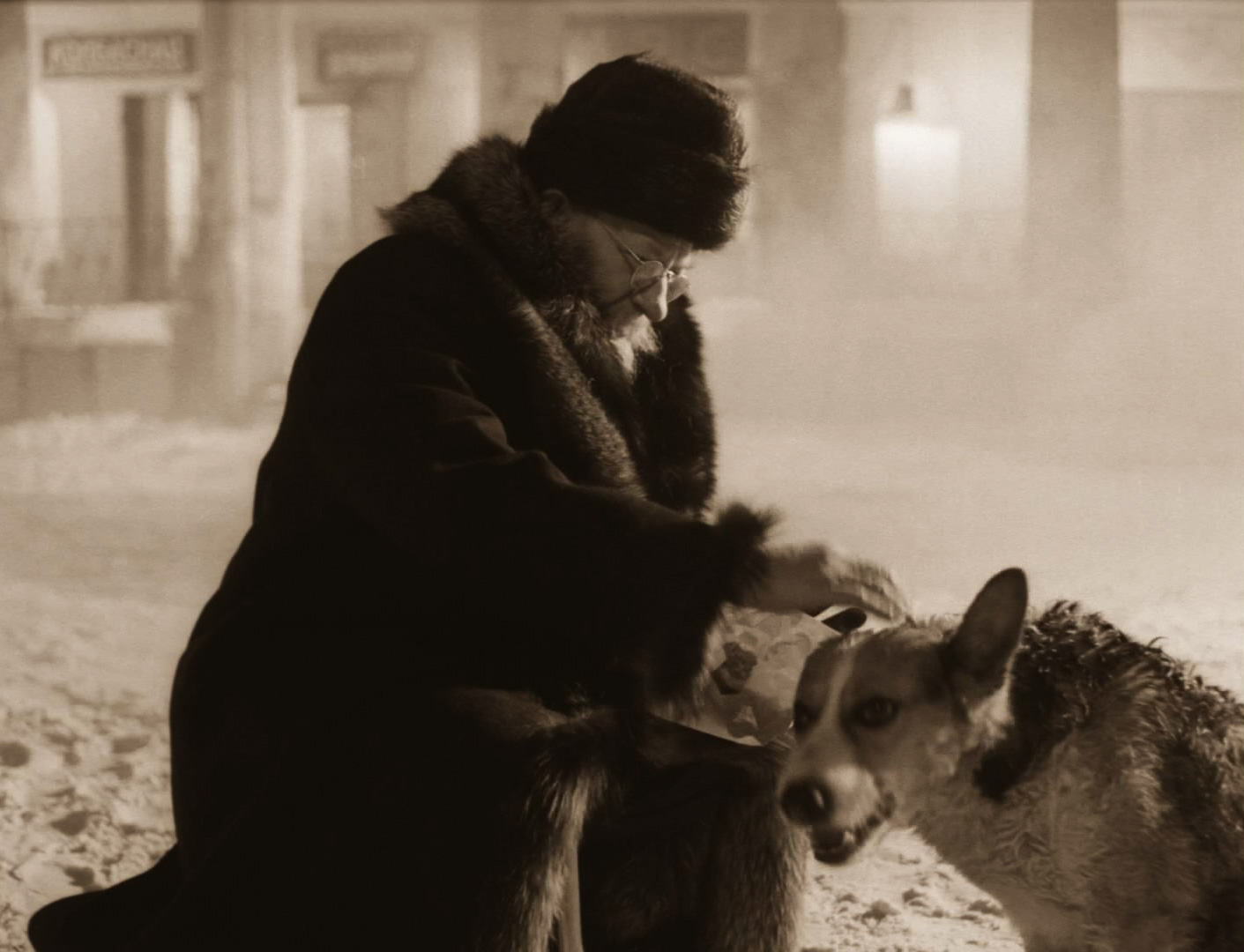 собачье сердце