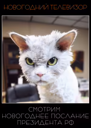 cat-16