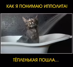 cat-22