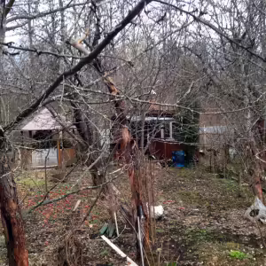dacha-iksha-1