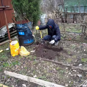 dacha-iksha-2
