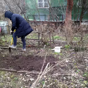 dacha-iksha-3
