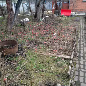 dacha-iksha-5