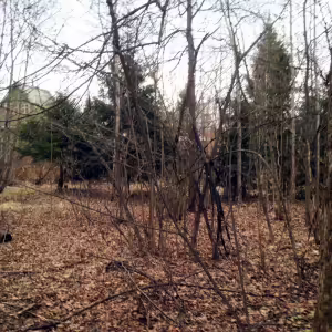 dacha-iksha-9