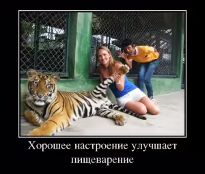 demotivator-03