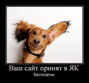demotivator-seo-11