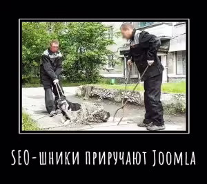demotivator-seo-50