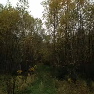 Не похоже на октябрь, трава зеленая