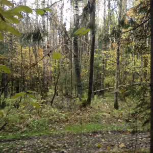 Осенний пейзаж