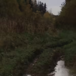 Осенние пейзажи
