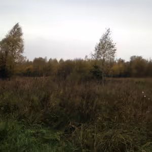 Осенние пейзажи