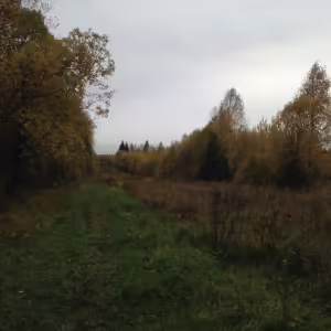 Осенние пейзажи