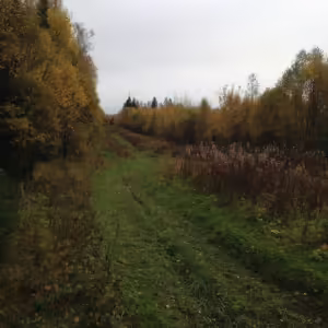 Осенние пейзажи