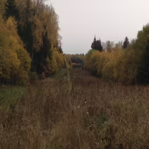 Осенние пейзажи