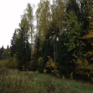 Осенние пейзажи
