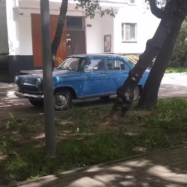 Волга