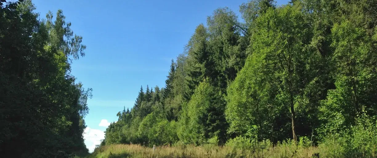 Сентябрь осень