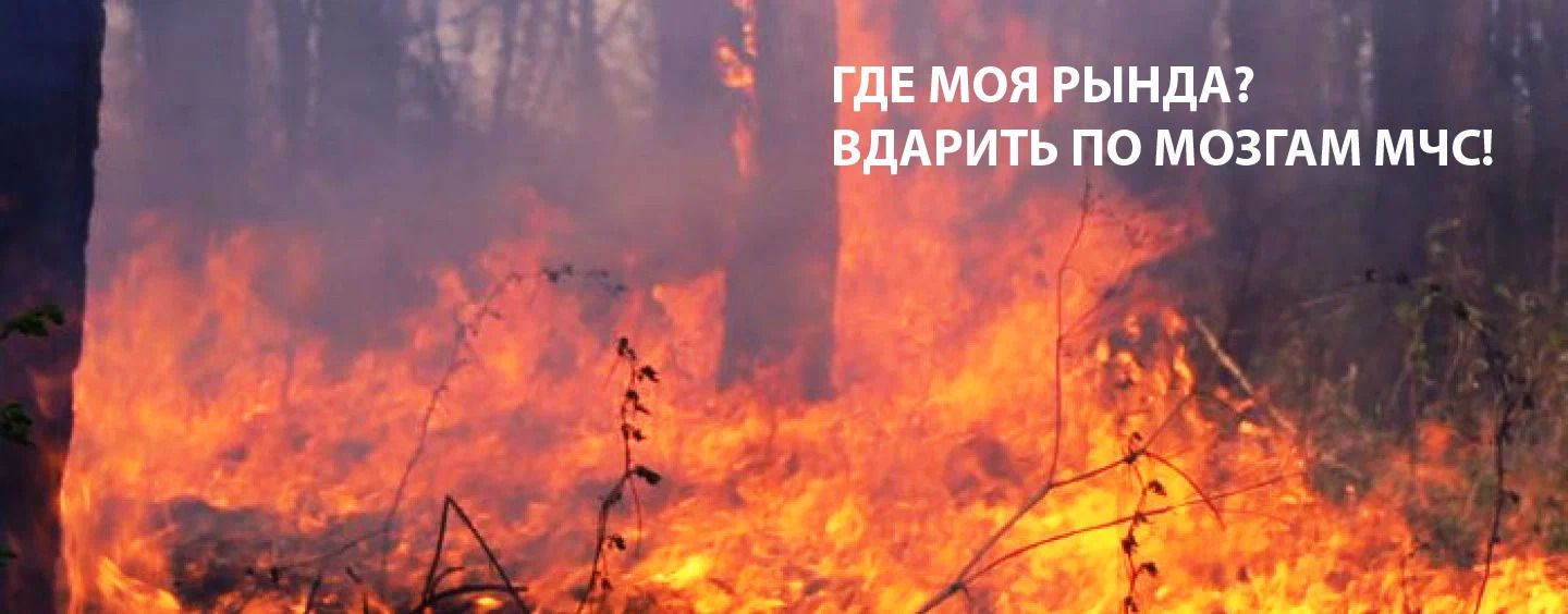 лесные пожары россии