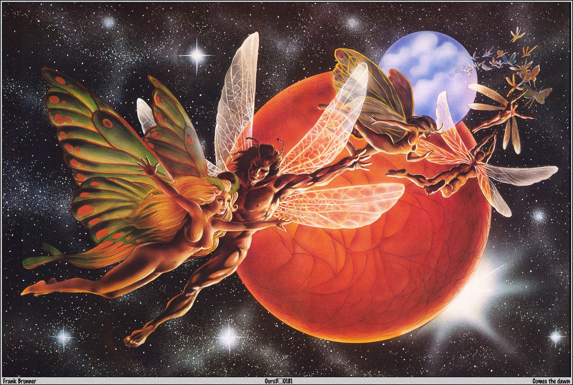 Frank Brunner