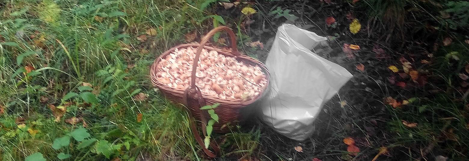 добро пожаловать в ад